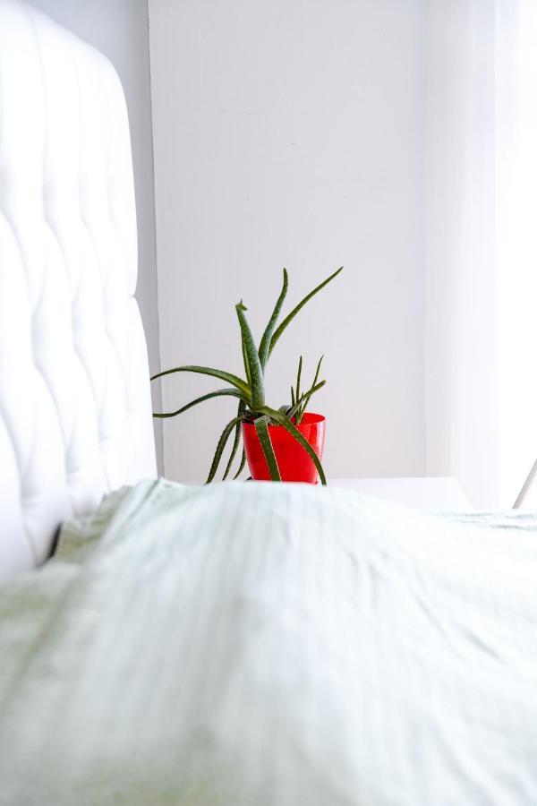 Modern Apartment With A View Feels Like Home พริสตีนา ภายนอก รูปภาพ